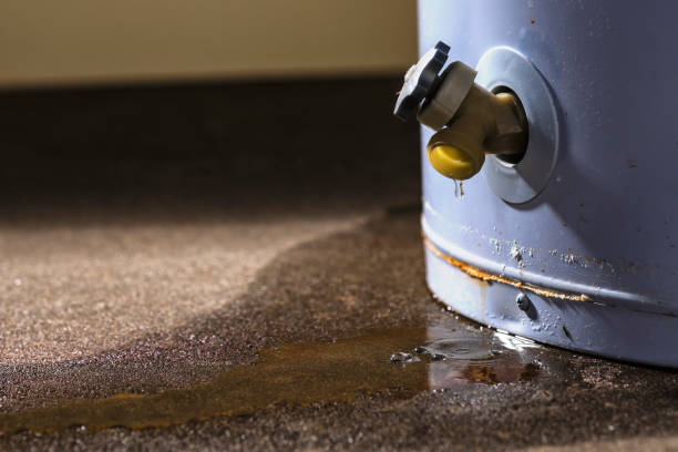 Best Carpet water damage restoration  in Flippin, AR