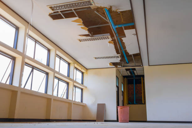Best Sewage cleanup and water damage restoration  in Flippin, AR