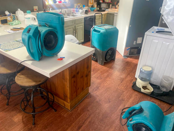 Best Local water damage restoration  in Flippin, AR