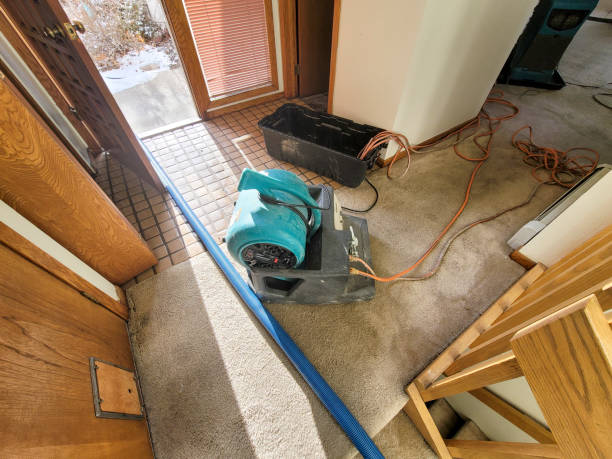 Water damage restoration insurance claims in Flippin, AR