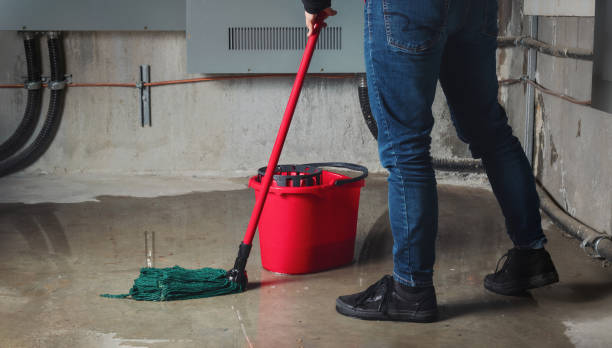 Best Ceiling water damage repair  in Flippin, AR