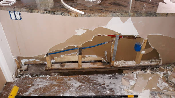 Best Flood restoration services  in Flippin, AR