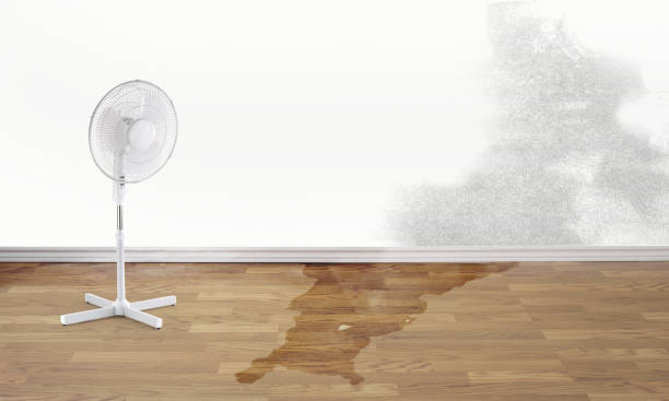 Best Commercial water damage restoration  in Flippin, AR