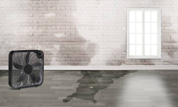 Water damage restoration process in Flippin, AR