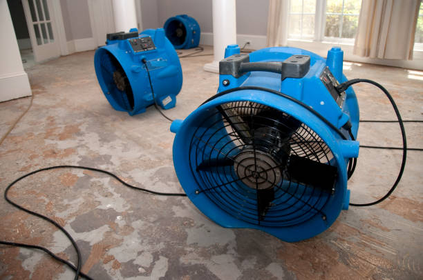 Best 24/7 water damage repair  in Flippin, AR