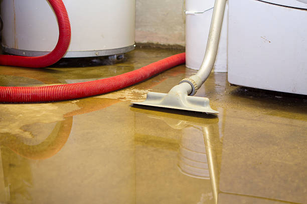 Best Water damage mitigation services  in Flippin, AR