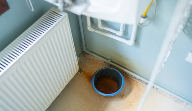 Best Carpet water damage restoration  in Flippin, AR