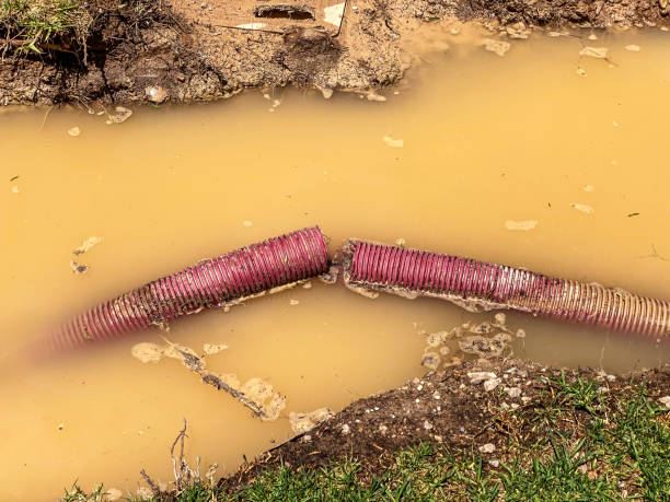 Best Basement water damage restoration  in Flippin, AR