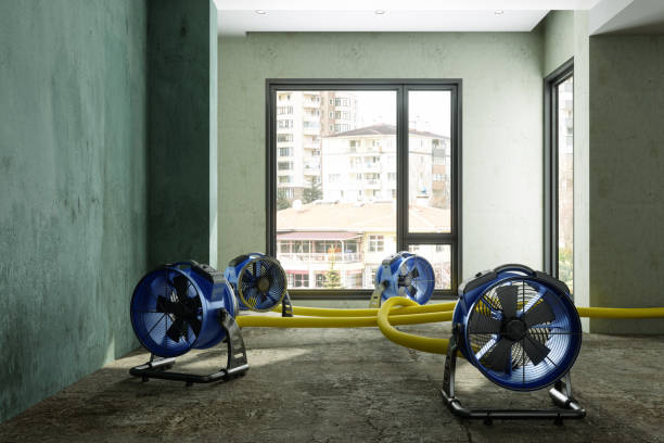Professional Water damage restoration in Flippin, AR