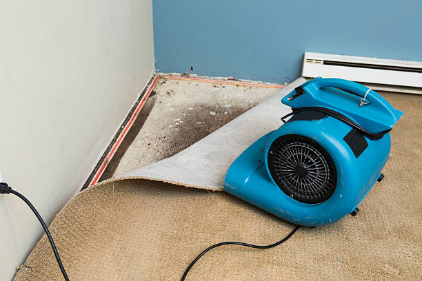 Best Emergency water damage restoration  in Flippin, AR